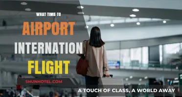 Best Time to Arrive at the Airport for International Flights