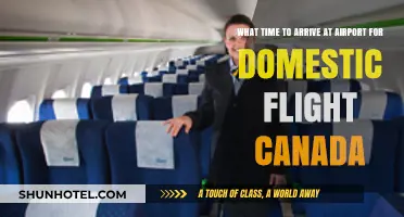 Arriving Early: Domestic Flights in Canada