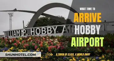 Hobby Airport Arrival: What Time Should I Land?