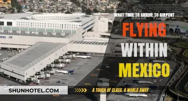 Best Airport Arrival Times for Domestic Flights in Mexico