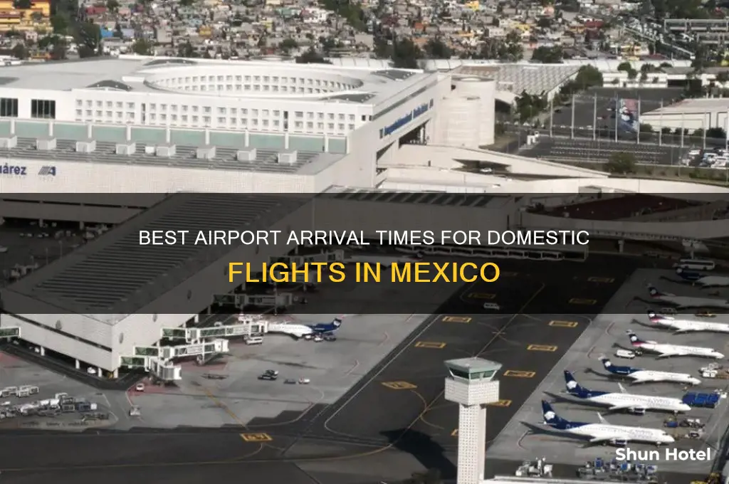 what time to arrive to airport flying within mexico