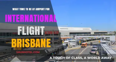 Brisbane International Flights: Optimal Airport Arrival Time Guide