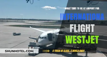 WestJet International Flight: Optimal Airport Arrival Time Guide