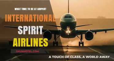 Spirit Airlines International Flights: Optimal Airport Arrival Time Guide