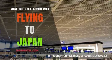 Flying to Japan? Optimal Airport Arrival Time Guide for Travelers