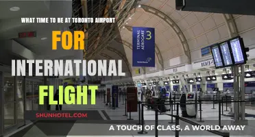Best Time to Arrive at Toronto Airport for International Flights