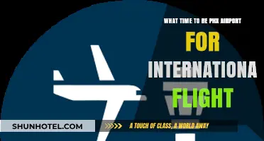 Best Time to Arrive at Phoenix Airport for International Flights