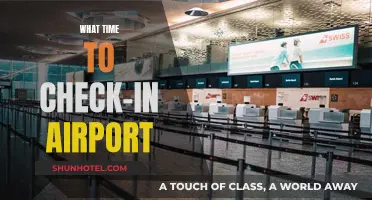 Arriving Early: Check-In Time Strategies for Stress-Free Travel
