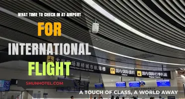 Best Airport Check-In Times for Stress-Free International Travel