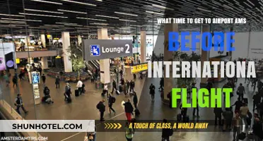 AMS Airport Arrival Guide: Ideal Timing for Stress-Free International Flights