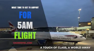 Early Bird's Guide: Optimal Airport Arrival Time for 5 AM Flights