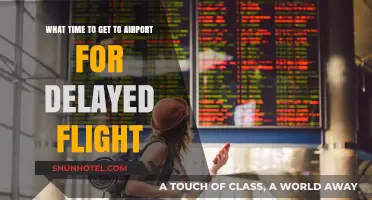 Navigating Delayed Flights: Optimal Airport Arrival Times for Stress-Free Travel