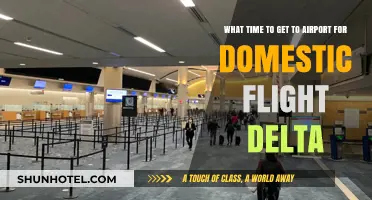 Delta Domestic Flights: Optimal Airport Arrival Time Guide