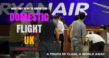Perfect Timing: When to Arrive at UK Airports for Domestic Flights
