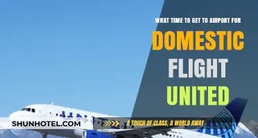 Best Time to Arrive at the Airport for United Domestic Flights