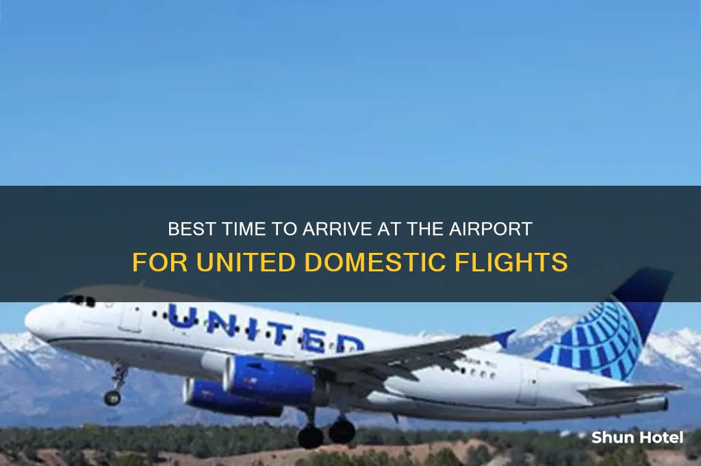 what time to get to airport for domestic flight united