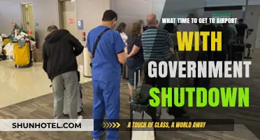 Navigating Airport Delays During Government Shutdown: Optimal Arrival Times