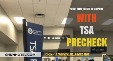 TSA PreCheck: Optimal Airport Arrival Times for Stress-Free Travel