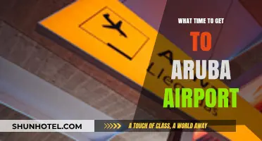 Best Time to Arrive at Aruba Airport for Stress-Free Travel
