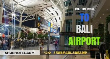 Best Time to Arrive at Bali Airport for Stress-Free Travel