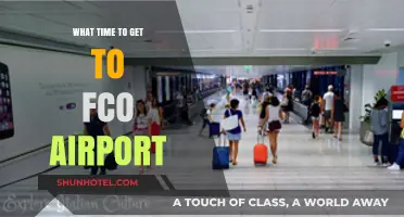 Best Time to Arrive at FCO Airport for Stress-Free Travel