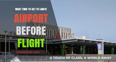 Optimal Arrival Time at Linate Airport for Stress-Free Flights