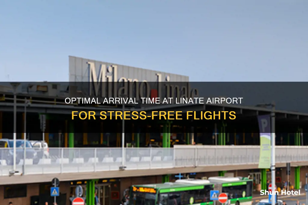 what time to get to linate airport before flight