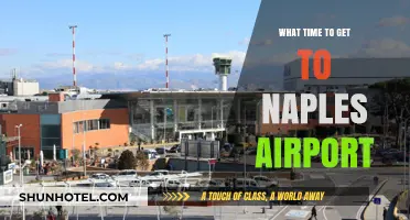 Best Time to Arrive at Naples Airport for Stress-Free Travel