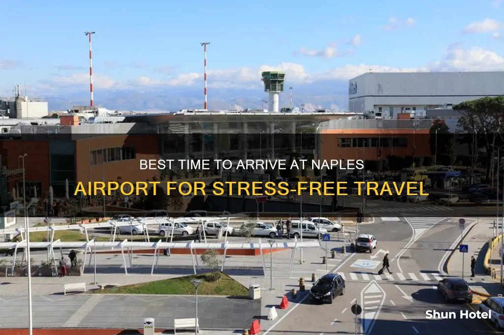 what time to get to naples airport