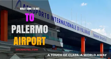 Best Time to Arrive at Palermo Airport: A Stress-Free Travel Guide