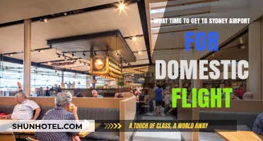 Best Time to Arrive at Sydney Airport for Domestic Flights