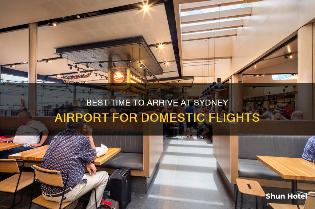 what time to get to sydney airport for domestic flight
