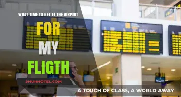 Perfect Timing: When to Arrive at the Airport for Your Flight