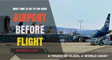 Boise Airport Arrival Guide: Optimal Timing for Stress-Free Flights