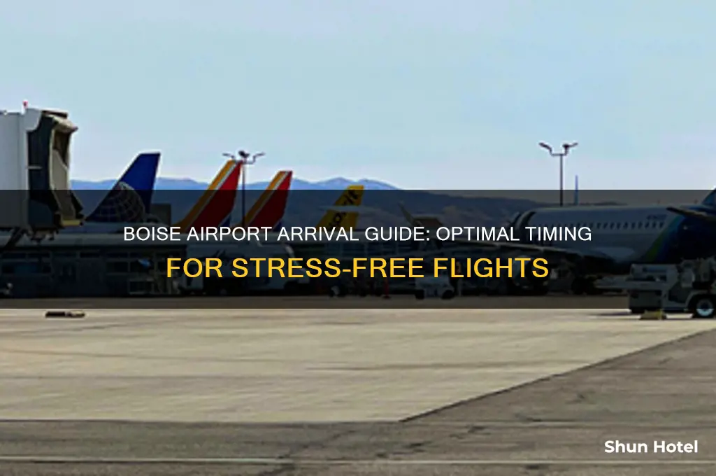 what time to get to the boise airport before flight