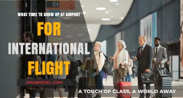 Perfect Timing: When to Arrive for Your International Flight