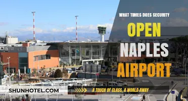 Naples Airport Security Opening Hours: Essential Info for Travelers