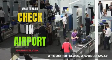 Essential Items to Pack Before Your Airport Check-In
