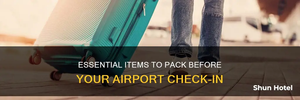 what to bring check in airport