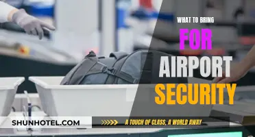 Essential Items to Carry Through Airport Security