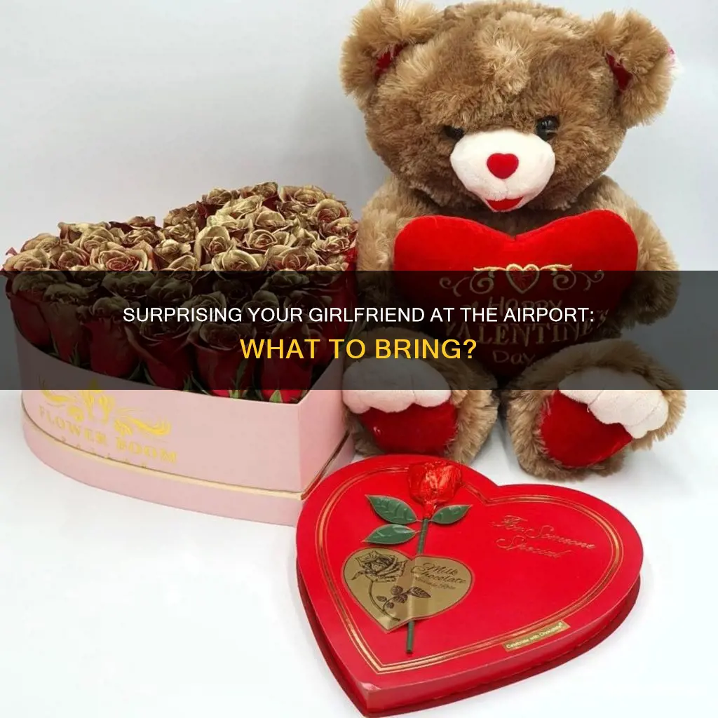 what to bring girlfriend at airport