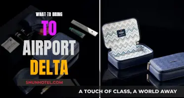 Essential Items to Carry When Flying with Delta