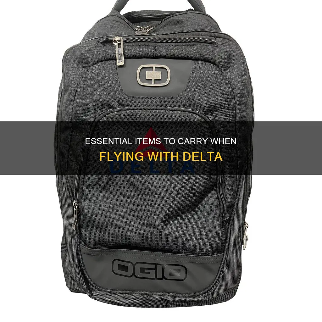 what to bring to airport delta