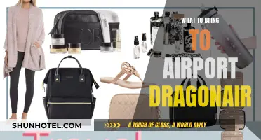 Essential Items to Bring When Flying with Dragonair