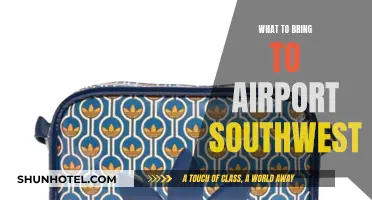 Southwest Travel: Airport Essentials for a Smooth Trip