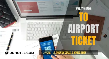 Essential Items to Bring When Collecting Airport Tickets