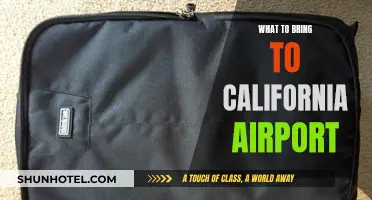 Essential Items for a Smooth California Airport Experience