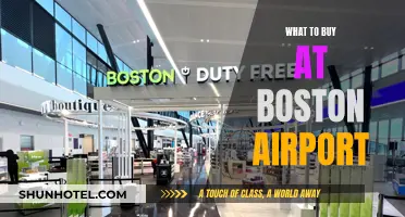 Boston Airport Shopping: Best Buys Before Boarding