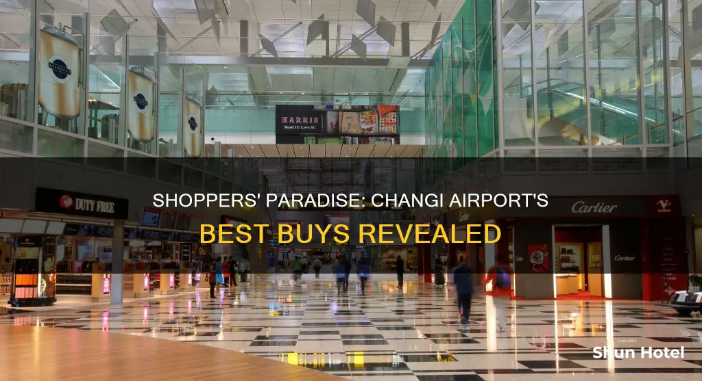 what to buy at changi airport
