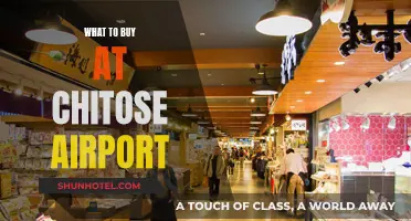 Chitose Airport Shopping: Best Buys Before Your Flight